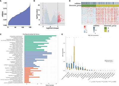 A novel stemness classification in acute myeloid leukemia by the stemness index and the identification of cancer stem cell-related biomarkers